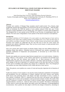 Dynamics of perennial snow patches of Mongun-Taiga