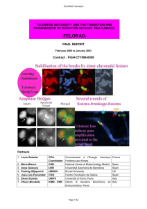 telomere instability and the formation and transmission of