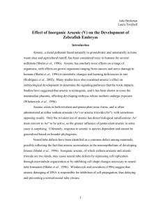 The Effect Of Inorganic Arsenic (V) On The