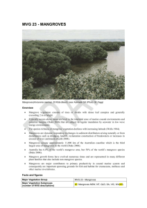 MVG 23 Mangroves DRAFT - Department of the Environment