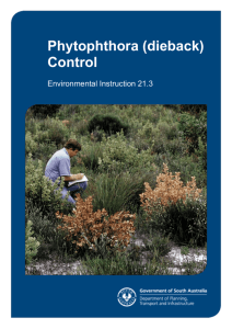 (Dieback) Control - Environmental Instruction 21.3