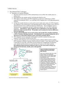 Basic genetic mechanism & DNA techniques, membrane & vesicular