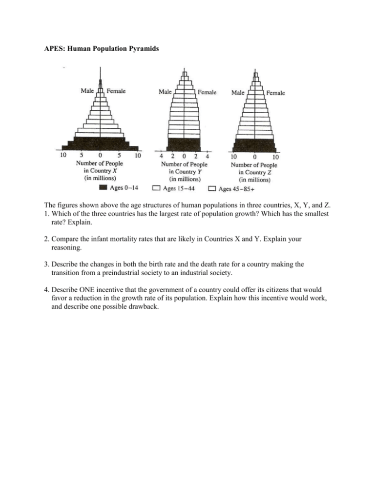 Apes Human Population Pyramids 9490