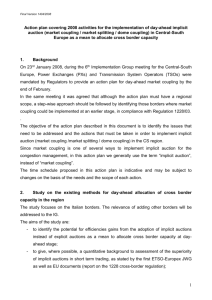 Action Plan day-ahead implicit auction 2008