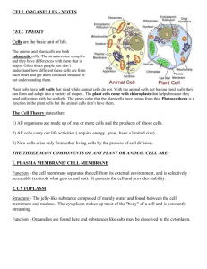 CELL ORGANELLES