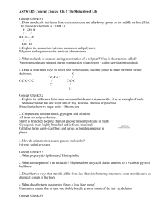 ANSWERS Concept Checks: Ch. 5 The Molecules of Life Concept