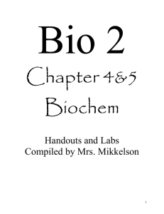 Bio 2 – Vocabulary--Biological Molecules