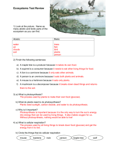 Ecosystems+Test+Review+ANSWERS