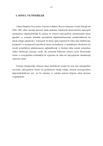Sayfa 64-74 - DSpace@Adu - Adnan Menderes Üniversitesi