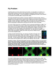 1 - UCSF Biochemistry & Biophysics