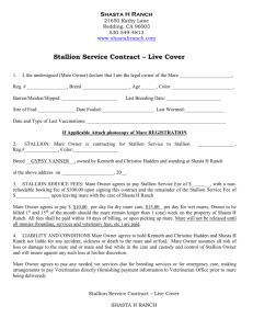 Stallion Service Contract – Live Cover