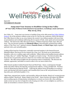 2015-sv-wellnessfestival-overview-ln