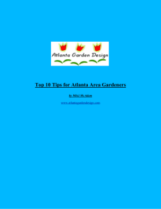 Top 10 Tips for Atlanta Area Gardeners