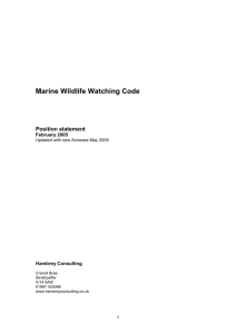 Position statement - The Scottish Marine Wildlife Watching Code