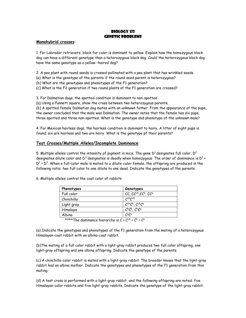 Chapter 10: Dihybrid Cross Worksheet / Dihybrid Cross Worksheet In Peas