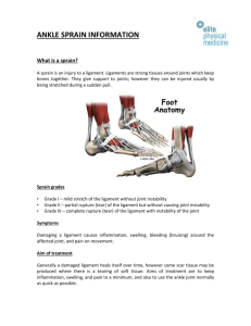 Ankle Sprain Advice - Elite Physical Medicine