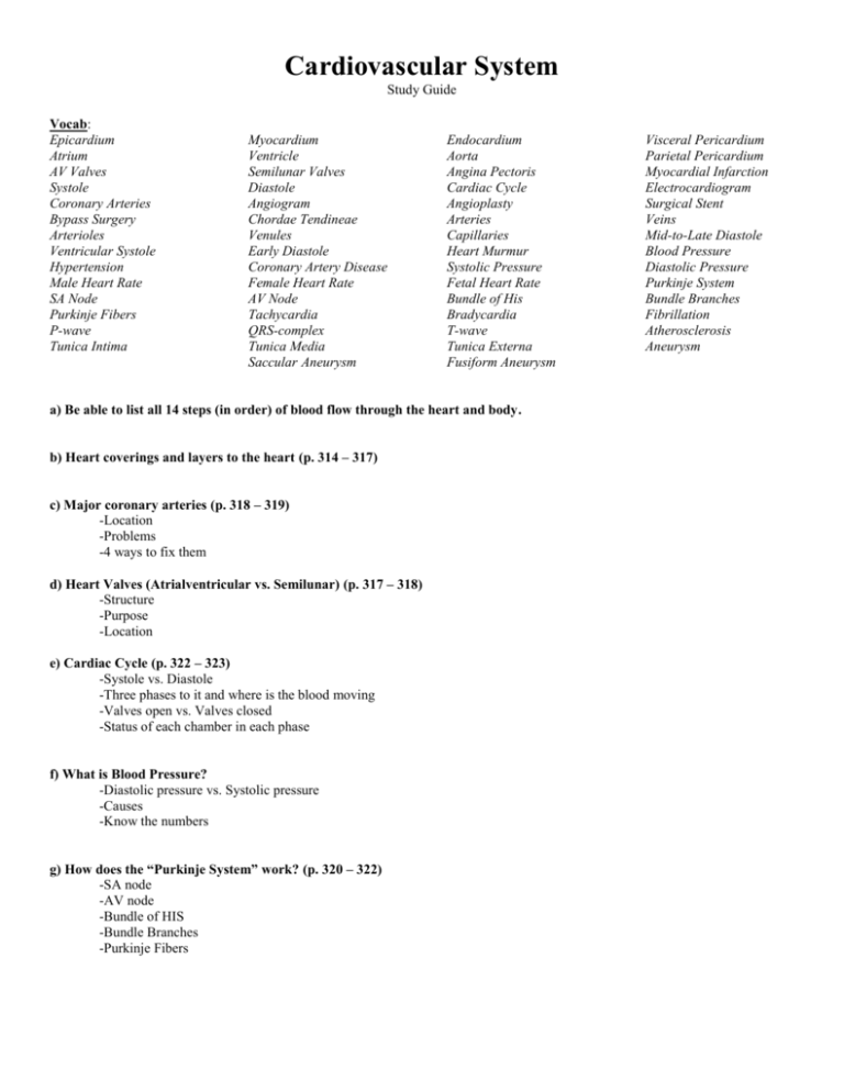 Cardiovascular System Review Guide