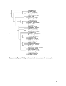 Supplementary Figure 1. Cladogram for species in standard