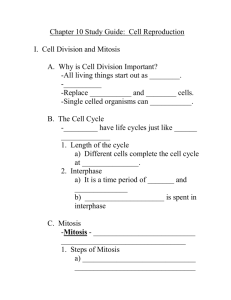 Chapter 10 Study Guide: Cell Reproduction