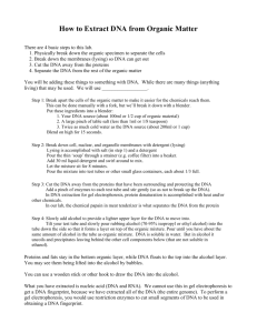 DNA Extraction handout