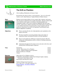 plankton template