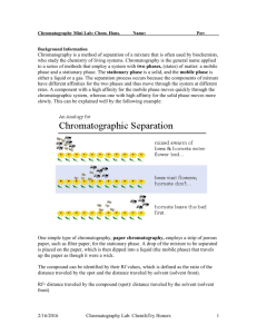 Chromatography Mini Lab - mvhs