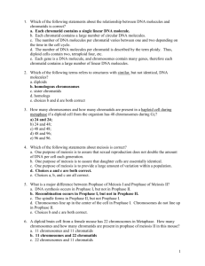 Practice Exam 3, Biology 211, Sections 1 and 4, Fall, 2007