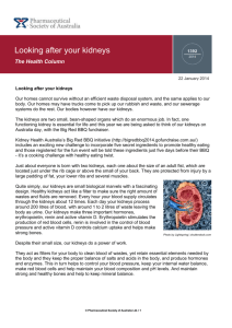 Looking after your kidneys - Pharmaceutical Society of Australia