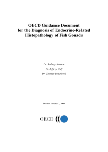 OECD Guidance Document for the Diagnosis of Endocrine