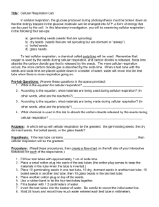 Title: (Copy this into your notebook) Cellular Respiration Lab