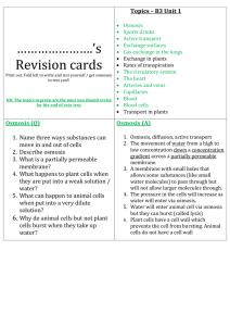 Revision cue cards for B3