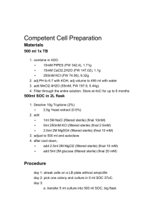 Competent Cell Preparation