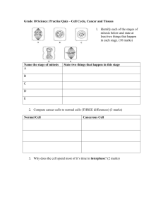 Grade 10 Science: Practice Quiz – Cell Cycle, Cancer and Tissues