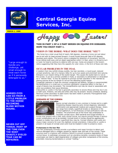 March 2008 Newsletter - Central Georgia Equine Services