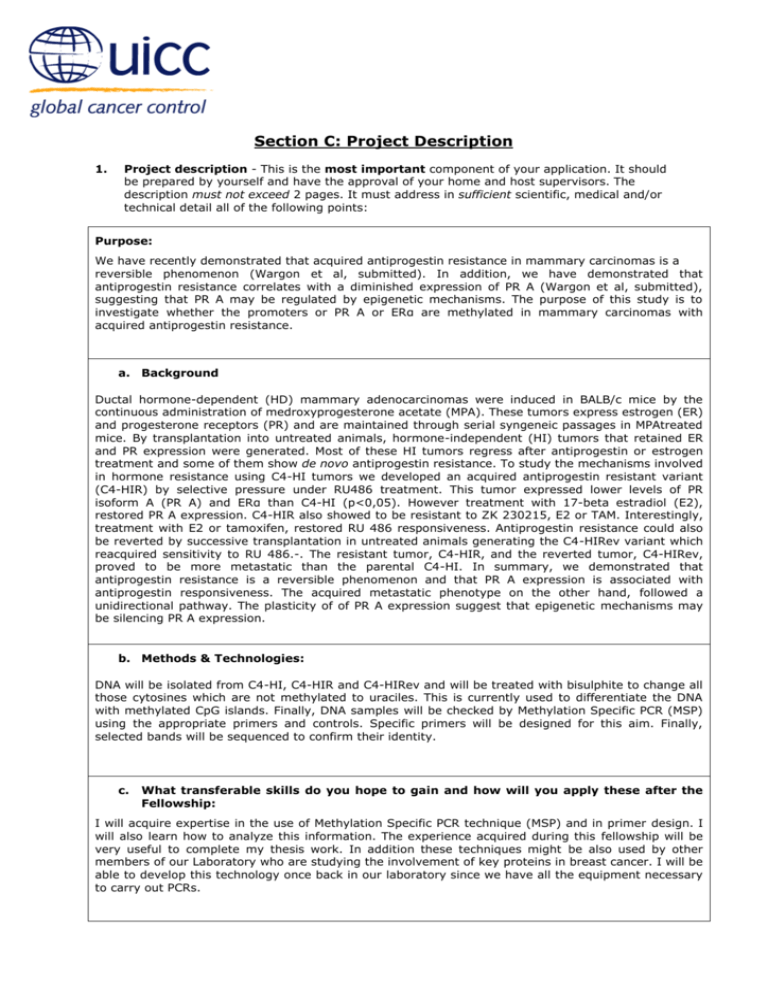 Project Description Example