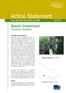 Basalt Greenhood (Pterostylis basaltica) accessible