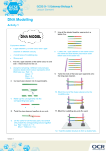 GCSE (9-1) Gateway Biology A Lesson Element Learner Sheet DNA