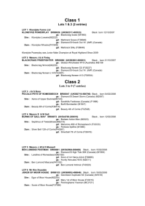 Class 2 - The Galloway Cattle Society