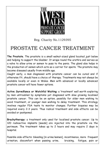 Reg. Charity No.1129395 PROSTATE CANCER TREATMENT The