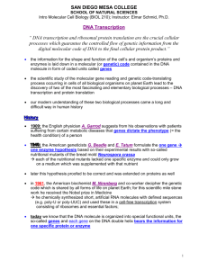 DNA Transcription - San Diego Mesa College