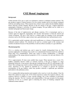 CO2_Renal_Angiogram
