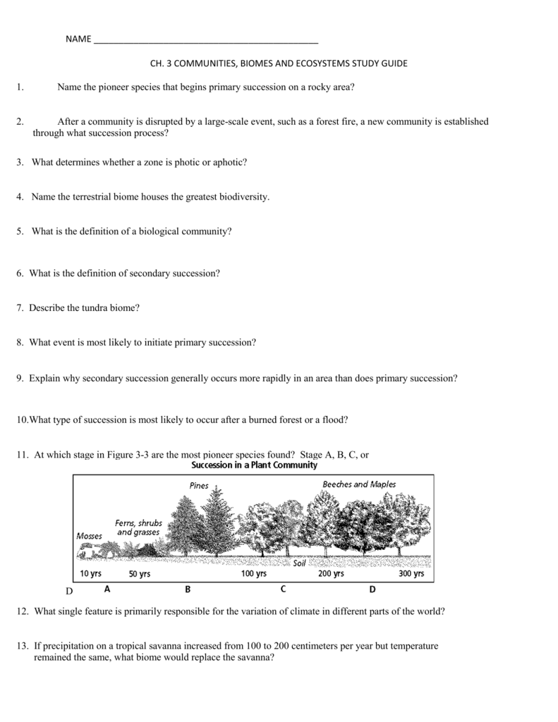 Terrestrial Biomes Worksheet
