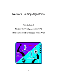 Network Routing Algorithms - Illinois Institute of Technology