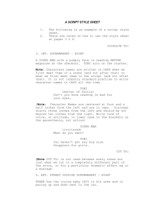a script style sheet