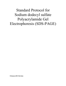 Standard Operating Procedure for SDS PAGE