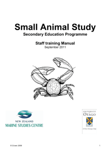 Small Animal Study staff#1B (2)