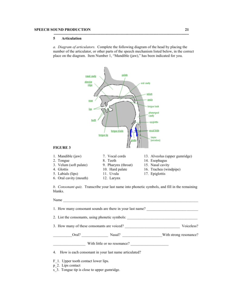 Speech Sound Production 21