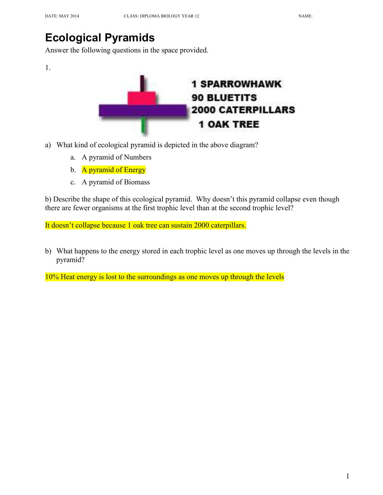 questions energy flow pyramids Inside Ecological Pyramids Worksheet Answers