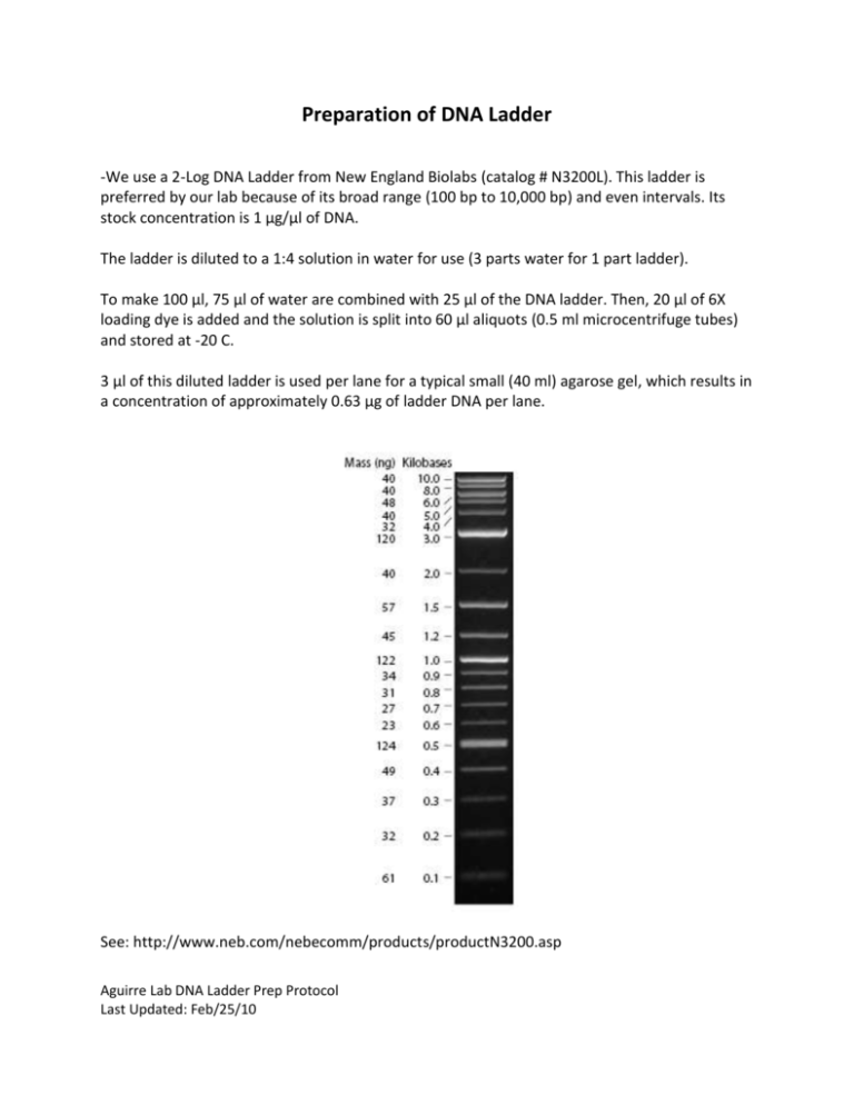 dna-ladder-preparation-protocol