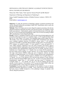 histological spectrum of chronic allograft dysfunction in renal